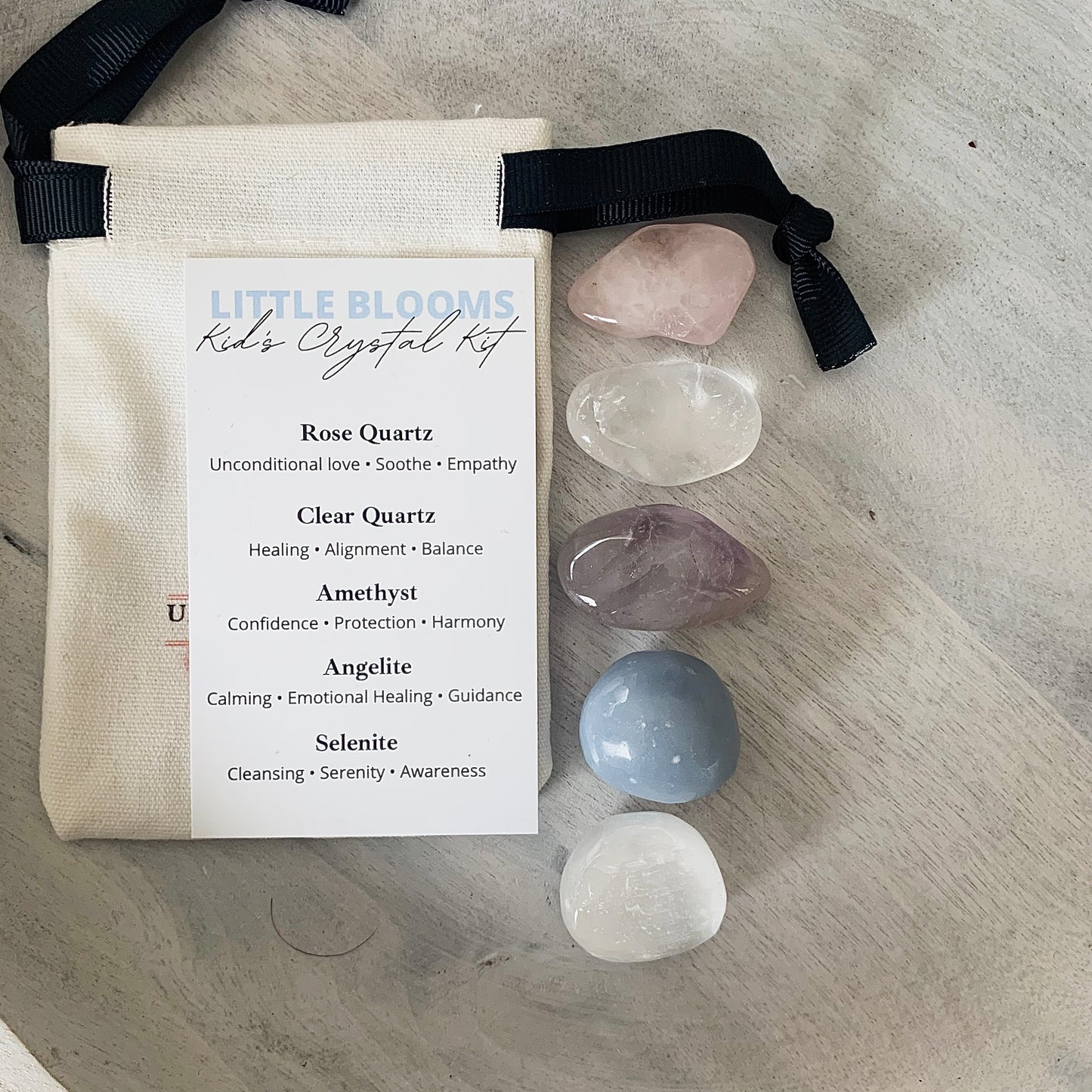 Little Blooms ~ Kid’s Crystal Kit